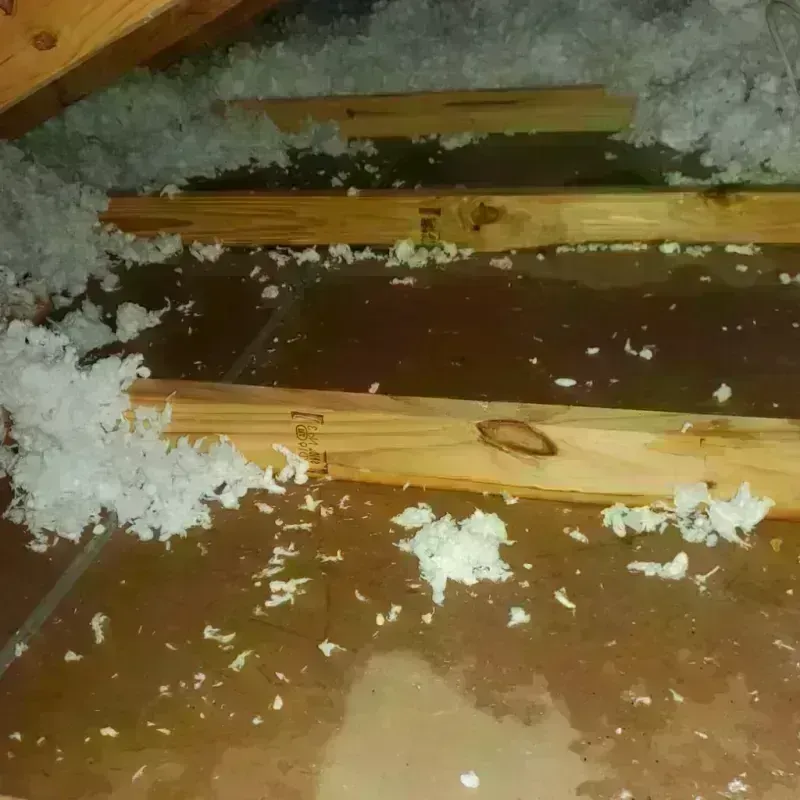 Attic Water Damage in Tinley Park, IL