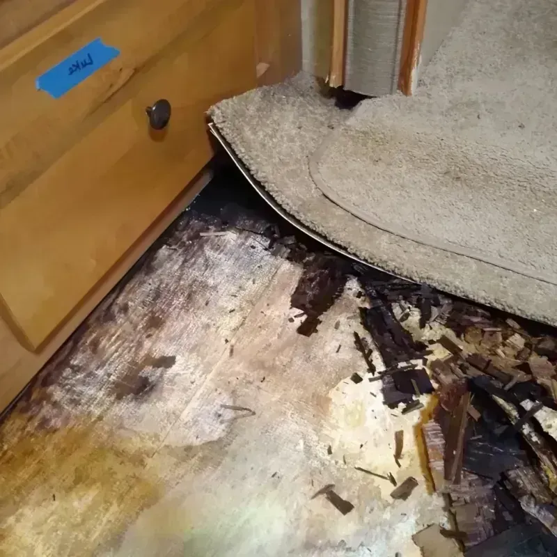 Best Wood Floor Water Damage Service in Tinley Park, IL